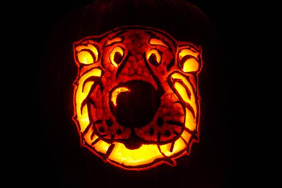 Truman carved on pumpkin